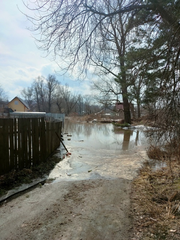 СНТ Гагарина-2.jpg